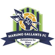 Marumo Gallants